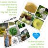 Lemon Myrtle & Kakadu Plum Salt 50g - Image 2