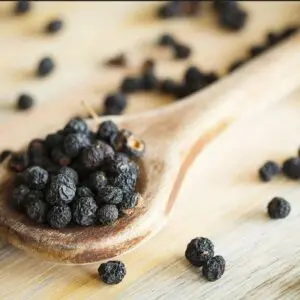 Tasmanian pepper berry, a native Australian spice, is renowned for its unique flavor and impressive health benefits. Try in deserts as a point of difference